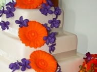 Wedding Cake:Wedding Cake Variety in Photos